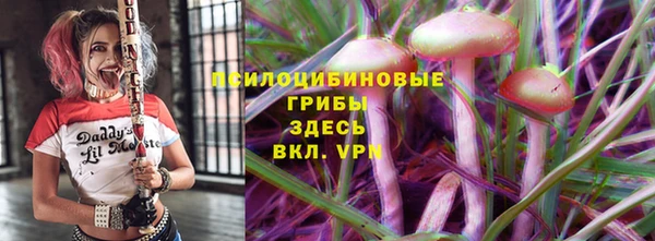 марки lsd Абаза
